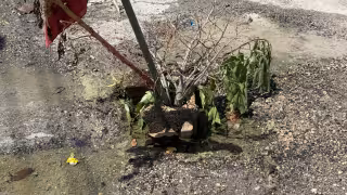 “Se ha reportado pero no hacen caso”: reclaman fuga de agua en Champotón