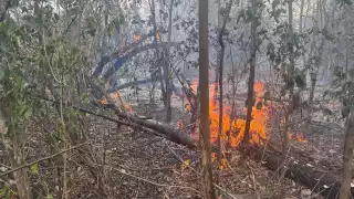 Incendios forestales en Campeche han consumido más de mil 200 hectáreas este 2025