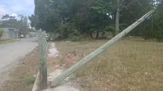 Parte del poste quedó colgando sobre la banqueta sostenido únicamente por cables.