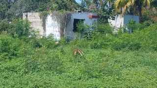 Vecinos de Salsipuedes exigen limpieza y cerco en predio baldío usado por delincuentes