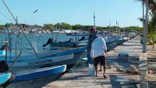 En Chabihau, el 90 por ciento de los botes se encuentran varado, en la espera del pulpo