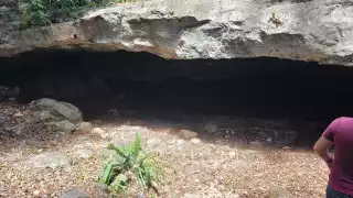   Denuncias dos empresas de Cancún por derramar deshechos en cenotes de Playa del Carmen  