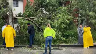 El Ayuntamiento se mantiene a cargo de las brigadas