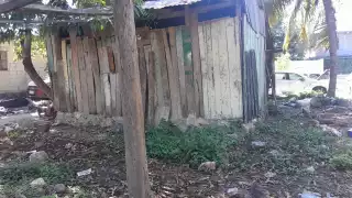 Desconocidos roban 20 aves de corral en la colonia Fátima, en Escárcega