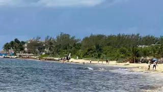 Destruir los manglares aumenta la erosión costera.