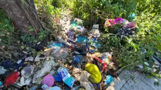 Vecinos de Champotón exigen a autoridades atender problema sanitario en lotes abandonados