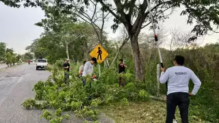 En los ejercicios han participado ofi cinas gubernamentales, de la iniciativa privada y otras instancias.