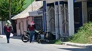 Un enjambre de abejas atacó a varias personas en la colonia Salsipuedes de Escárcega.