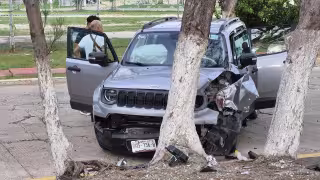 La camioneta terminó con severos daños en la parte frontal tras impactarse contra un árbol en Playa Norte.
