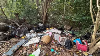 Vecinos denuncian foco de infección en Cancún