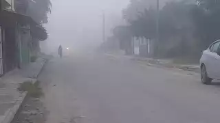 La neblina impedía la visibilidad de peatones y conductores