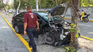 Incrusta su auto contra árbol en la Colonia La Riviera de Ciudad del Carmen