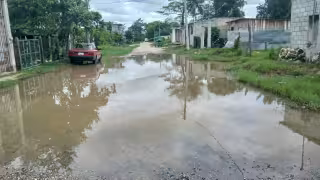 Vecinos sorprendidos por reptil en tendido eléctrico