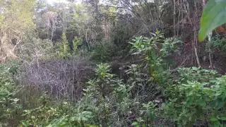 Hombres de campo cuentan que durante ciertas horas del día se pueden ver remolinos