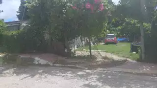 La entrada solo tenía malla, por lo que fue fácil para los ladrones entrar.