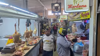 Reja de huevo baja a 35-40 pesos en Campeche