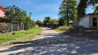  Indigna en municipios de Campeche asesinatos de mascotas   