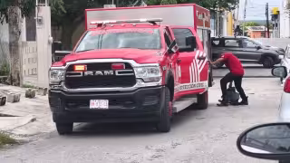 Un mecánico resultó lesionado tras ser atacado por un enjambre de abejas.