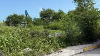 Habitantes exigen intervención del Ayuntamiento de Champotón