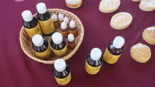 Yucatán presume su miel rica en nutrientes