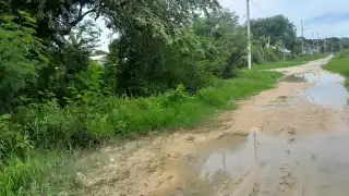 Mosquitos, una amenaza de dengue