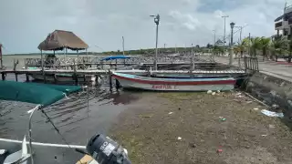 Basura, plásticos y residuos de pesca, los enemigos que ponen en riesgo la vida acuática