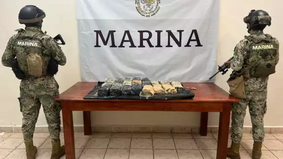 Eran más de 300 kilos de narcóticos