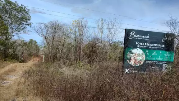 La Semarnat denuncia que en municipios como Kinchil las constructoras no acatan las normas La Semarnat denuncia que en municipios como Kinchil las constructoras no acatan las normas