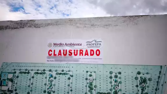 La Profepa aplica clausuras en Reserva de la Biosfera Ría Celestún y en un fraccionamiento al Norte de Mérida La Profepa aplica clausuras en Reserva de la Biosfera Ría Celestún y en un fraccionamiento al Norte de Mérida