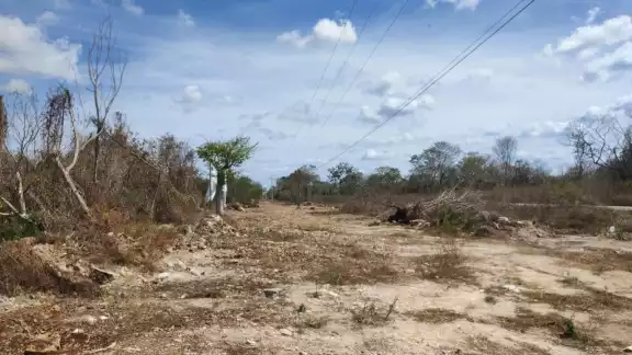 La sobreexplotación del acuífero, la destrucción del suelo selvático y la deforestación acelerada pueden llevar a la región a enfrentar en pocos años una crisis hídrica La sobreexplotación del acuífero, la destrucción del suelo selvático y la deforestación acelerada pueden llevar a la región a enfrentar en pocos años una crisis hídrica
