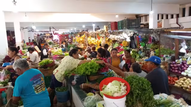 Dentro del mercado, se realizó un recorrido para cotizar el precio de algunos insumos