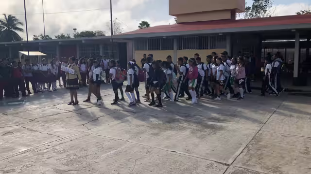 Leucemias, osteosarcoma, linfomas y tumores, lo común