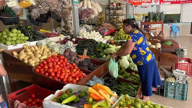 20 días del Hanal Pixán o Día de Muertos, los precios de la cebolla y el tomate han aumentado en el mercado municipal