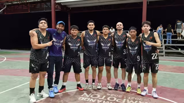 Los Hornets se instalaron en la gran final de la liga.