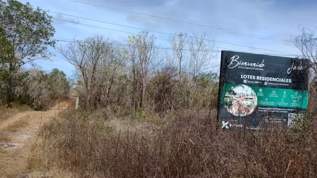 La Semarnat denuncia que en municipios como Kinchil las constructoras no acatan las normas