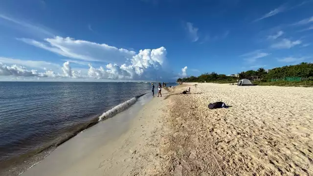 Activistas han expuesto el peligro ante dichas labores