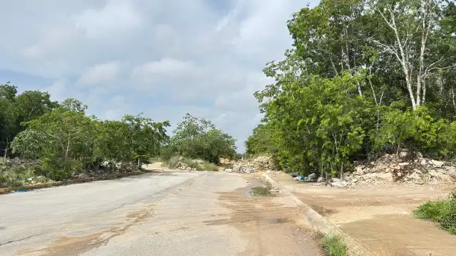 Advierten que los asentamientos irregulares contaminan cuevas y cenotes de la Riviera Maya