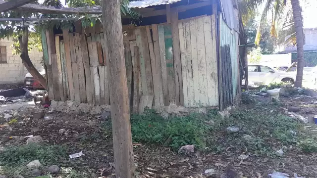 Personas desconocidas roban 20 aves de corral en la colonia Fátima