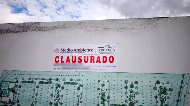 La Profepa aplica clausuras en Reserva de la Biosfera Ría Celestún y en un fraccionamiento al Norte de Mérida