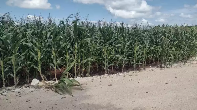 No es justo que por querer trabajar suframos acoso: protestan en Hopelchén