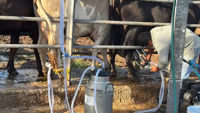 Campeche fortalecerá su autosuficiencia lechera con nueva planta pasteurizadora