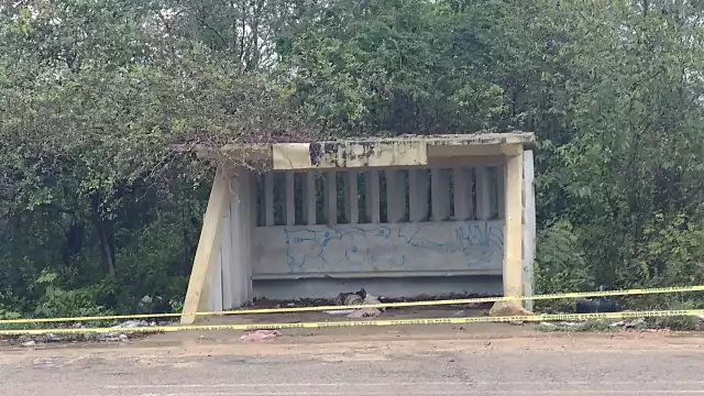 El cuerpo fue hallado embolsado y enrollado con cinta