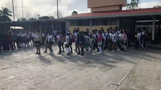 Leucemias, osteosarcoma, linfomas y tumores, lo común