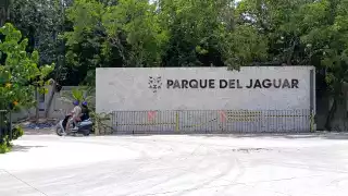 Empleados del Parque del Jaguar de Tulum denuncian despidos injustificados tras irse de incapacidad
