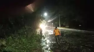 Fuerte aguacero derriba flamboyán y bloquea tránsito en Dzitbalché