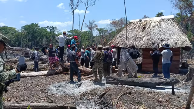 Gobierno desaloja a invasores ilegales de zona protegida en Calakmul