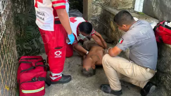 Vecinos alertaron al numero de emergencia, por lo que elementos de Protección Civil y paramédicos acudieron al lugar Vecinos alertaron al numero de emergencia, por lo que elementos de Protección Civil y paramédicos acudieron al lugar