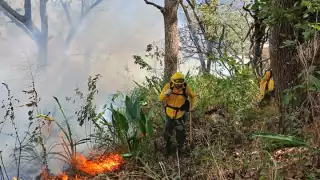 Habrá capacitaciones para mejorar habilidades  de los combatientes de fuego en Campeche