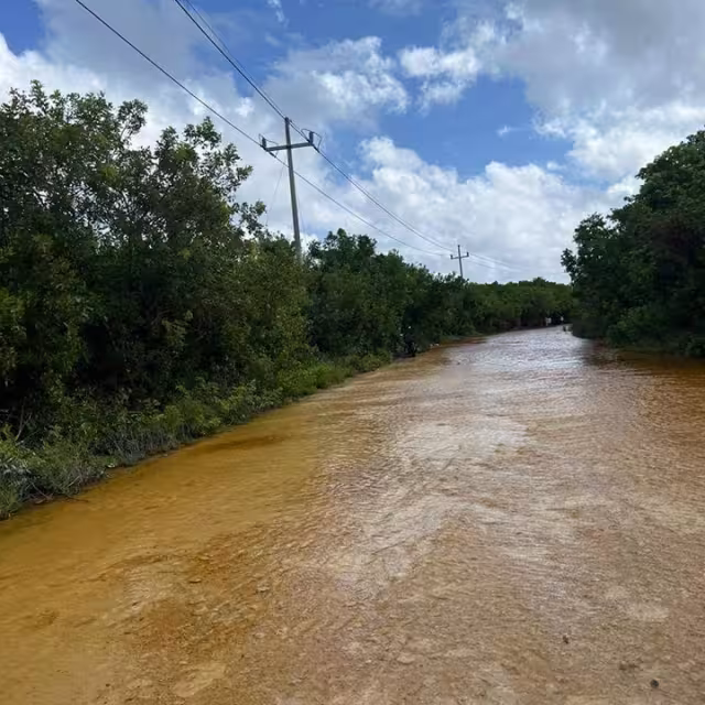 Tras días de la tomenta "Sara", escurrimientos de agua afectan en el sur.