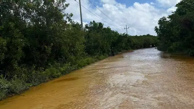 Tras días de la tomenta "Sara", escurrimientos de agua afectan en el sur.